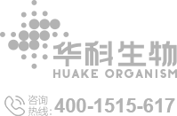 &#20048;&#40060;&#25163;&#26426;&#31449;&#20837;&#21475;&#45;&#20048;&#40060;&#111;&#110;&#108;&#105;&#110;&#101;&#40;&#20013;&#22269;&#41;